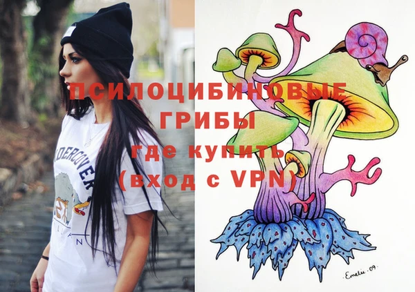 ешки Белокуриха