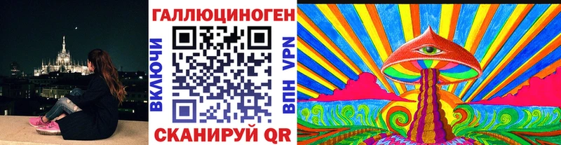 Купить  Сим  Псилоцибиновые грибы Psilocybe 