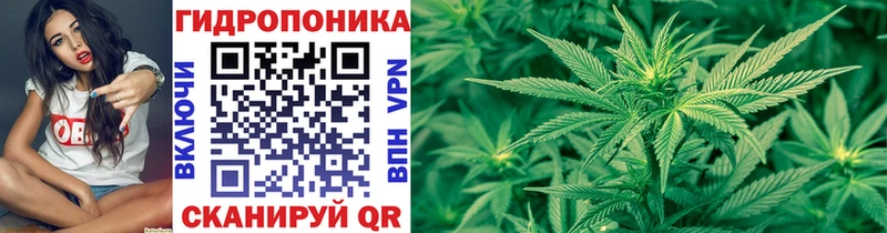 Купить закладки  Сим  Каннабис Ganja 